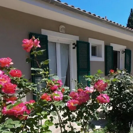 Apartment Peonia Lefkas Flower