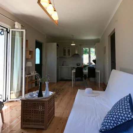 Peonia Flower House *