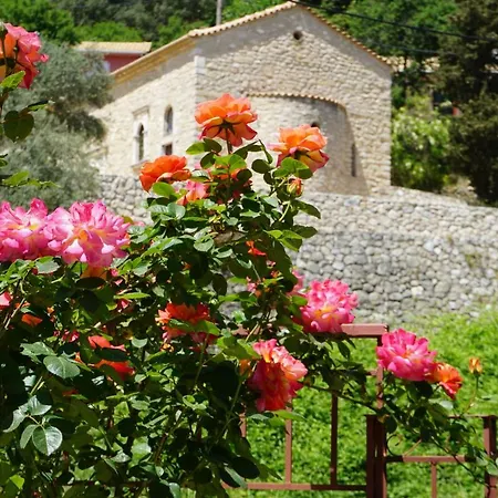 Peonia Lefkas Flower