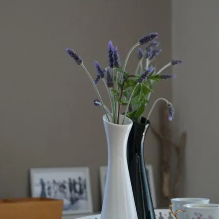 Peonia Flower House Apartment *