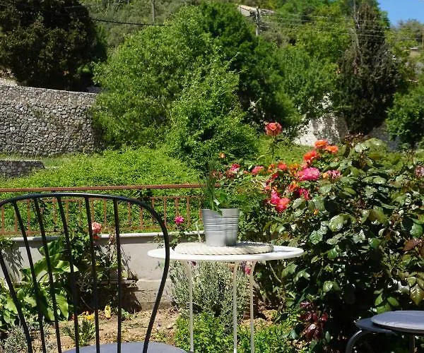 Peonia Flower House * Asprogerakata