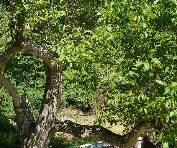 Peonia Flower House Apartment Asprogerakata