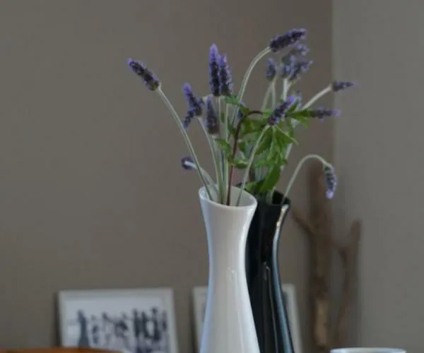 Peonia Flower House Apartment *